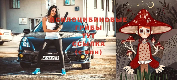 сатива Михайлов