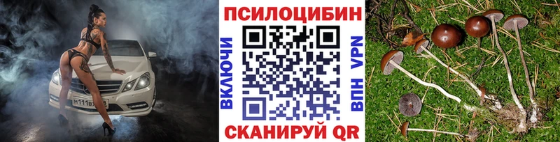 Купить  Цивильск  Галлюциногенные грибы Psilocybine cubensis 